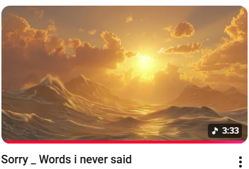 Sorry — Words I never said